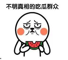 吃瓜群众网络热词,网络热词背后的社会现象解析
