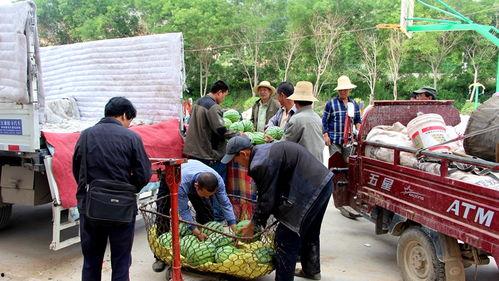 临猗理发店吃瓜群众,吃瓜群众见证的社区生活剪影