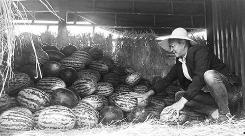 永年吃瓜群众,揭秘当地生活百态