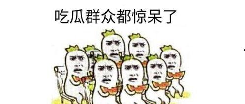 吃瓜群众路过咋回复,揭秘娱乐圈幕后真相