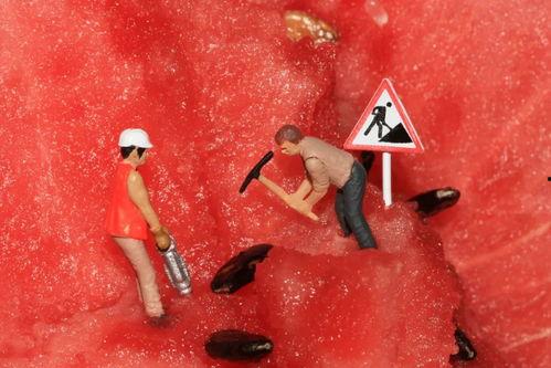 吃瓜群众创意照片,吃瓜群众创意照片背后的趣味故事