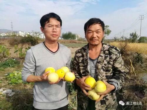 河北邯郸吃瓜群众,吃瓜群众的夏日盛宴
