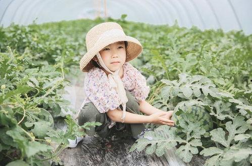 不参与吃瓜群众的原因,为何有人选择不参与“吃瓜”热潮