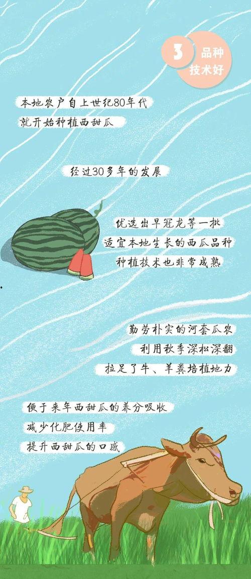 吃瓜群众就位图片大全,吃瓜群众集结！盘点趣味横生的“就位”瞬间