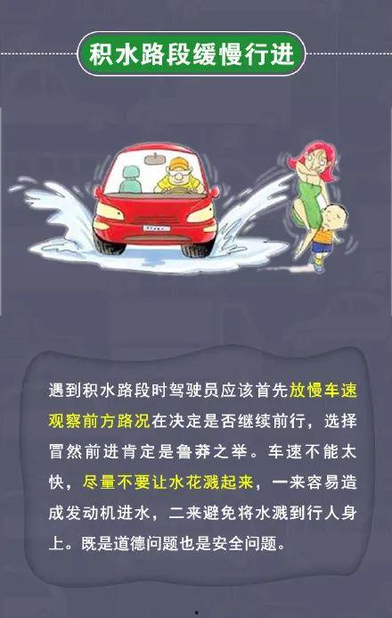 消防员有多喜欢吃瓜群众,瓜界美食家，揭秘他们的“甜蜜”生活