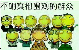 龙岛吃瓜群众是谁