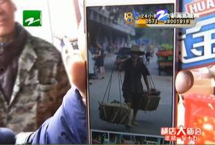 群众吃瓜发朋友圈怎么说,群众吃瓜朋友圈背后的社会现象解析