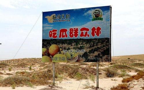 甘肃吃瓜群众玩具,趣味盎然，传承地方特色