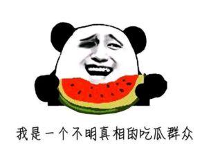 史上最牛的吃瓜群众,揭秘网络舆论场中的传奇人物