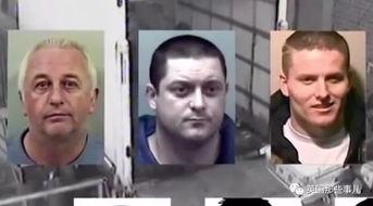 镇平县吃瓜群众案件最新,真相揭秘与法律反思