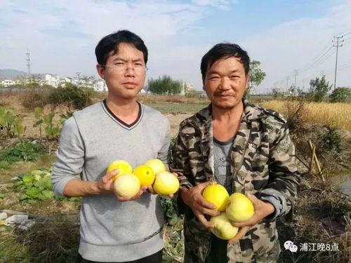 什么是网上吃瓜群众活动,全民参与的虚拟狂欢