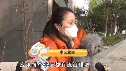 忍无可忍吃瓜群众蓓欧菲,忍无可忍！吃瓜群众蓓欧菲揭秘娱乐圈惊天秘密