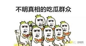 吃瓜群众发怒笑哭