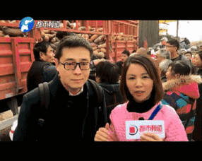 吃瓜群众老姐视频在线观看,揭秘吃瓜群众老姐的在线视频盛宴