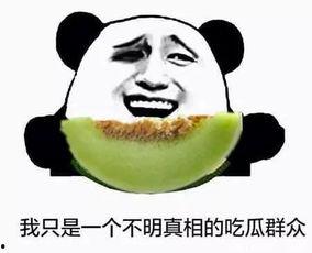 不追星吃瓜群众怎么办,做不追星吃瓜的独立思考者