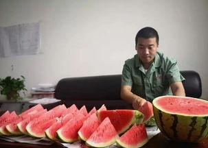 幸福里的吃瓜群众,吃瓜群众的欢乐盛宴