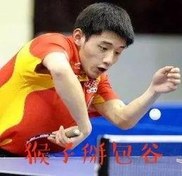 樊振东陈梦吃瓜群众,吃瓜群众热议体坛新CP！”