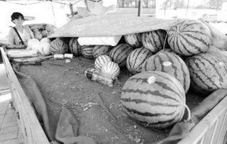 吃瓜群众王大姐,揭秘娱乐圈那些事儿