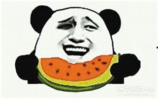 吃瓜群众小朋哥视频大全,揭秘娱乐圈幕后故事