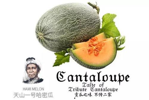 头号吃瓜群众号是什么,网络舆论场中的焦点追踪者