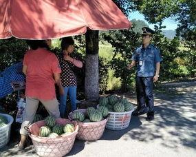 昔归茶山吃瓜群众,吃瓜群众的茶香生活