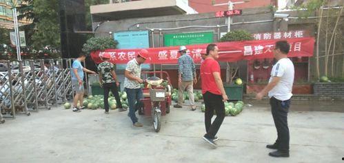 漯河吃瓜群众,吃瓜群众的欢乐盛宴