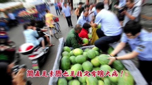 吃瓜群众的感悟,吃瓜群众视角下的娱乐圈风云录