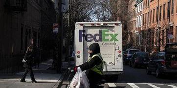 吃瓜群众联邦快递视频,吃瓜群众视角下的快递风云