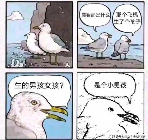 智者热情的吃瓜群众是谁,揭秘网络热议背后的故事