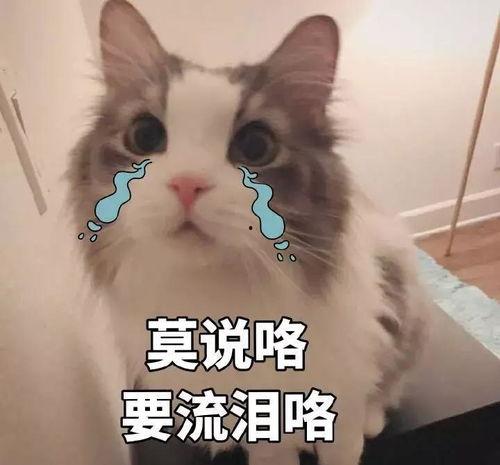 分手后的理由吃瓜群众,分手理由背后的惊人内幕