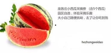 吃瓜群众的瓜是什么味道,揭秘“吃瓜群众”的味蕾之旅