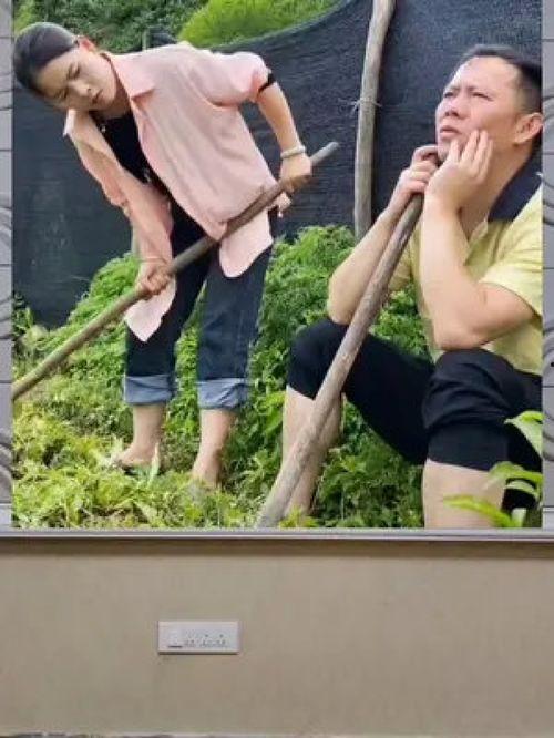 一千万粉丝吃瓜群众,揭秘娱乐圈幕后风云