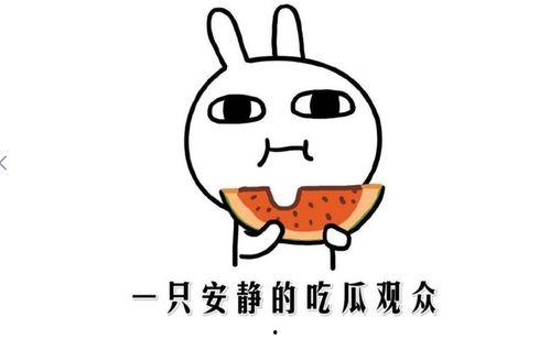 吃瓜群众的心得,笑料百出，泪点满满