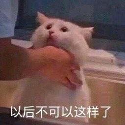 热门大瓜吃的朝阳群众,揭秘热门大瓜背后的神秘力量