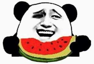 吃瓜群众想吃的是我的瓜,揭秘吃瓜群众的心头好