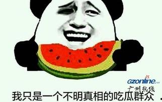 吃瓜群众指哪个生肖