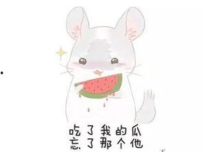 一群不明的吃瓜群众图