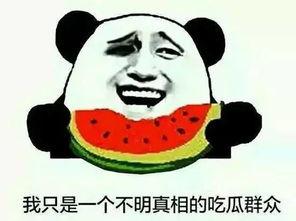 怎么看待网络上吃瓜群众,理性看待，共建清朗网络空间