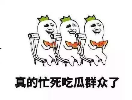 吃瓜群众自我修养教程