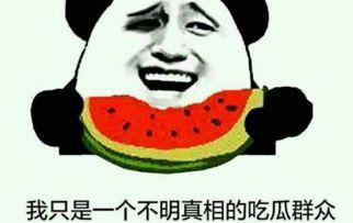 热梗吃瓜群众怎么回复,揭秘网络热议背后的趣味与真相